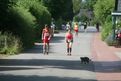 Foto des Albums: Sternenlauf 