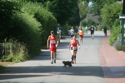 Foto des Albums: Sternenlauf 