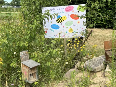 Foto des Albums: Wiesenprojekt