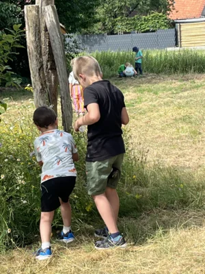 Fotoalbum Wiesenprojekt