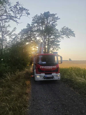 Foto des Albums: Einsatz 059/2026