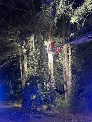 Foto des Albums: Einsatz 060/2026