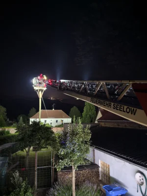 Foto des Albums: Einsatz 061/2026