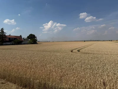 Foto des Albums: 280626 Dira Feld