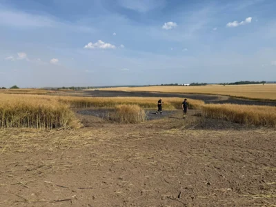 Foto des Albums: 280626 Dira Feld