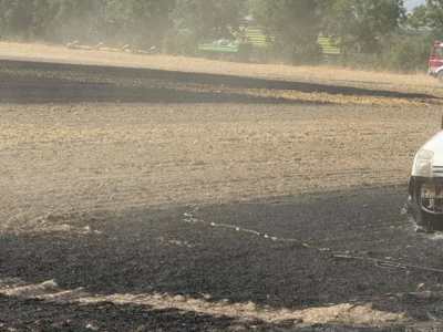 Foto des Albums: 280626 Dira Feld