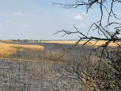 Foto des Albums: 280626 Dira Feld