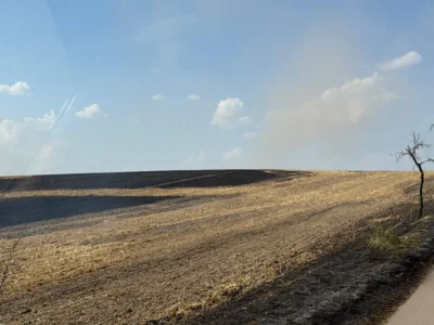 Foto des Albums: 280626 Dira Feld
