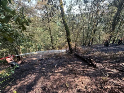 Foto des Albums: 280626 Garsebach Waldbrand