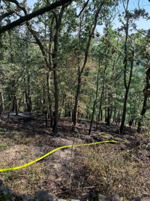 Foto des Albums: 280626 Garsebach Waldbrand