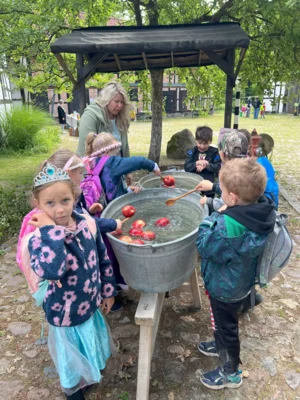 image036  (Bild vergr&ouml;&szlig;ern)