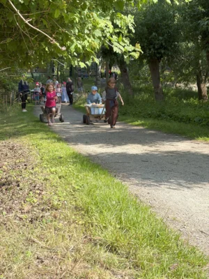image028  (Bild vergr&ouml;&szlig;ern)