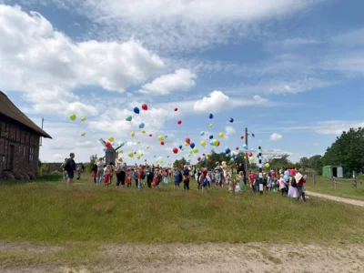 image065  (Bild vergr&ouml;&szlig;ern)