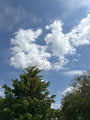 image073  (Bild vergr&ouml;&szlig;ern)