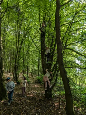 Foto des Albums: Unser Wandertag: Ein Tag voller Abenteuer in der Natur
