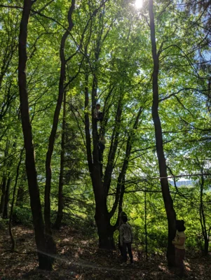 Foto des Albums: Unser Wandertag: Ein Tag voller Abenteuer in der Natur
