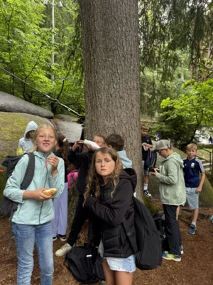 Foto des Albums: Luisenburg 2026