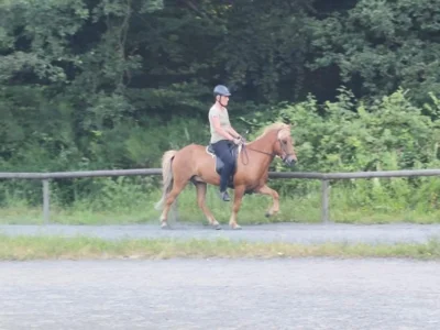 Foto des Albums: Johanna 2026