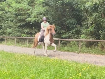 Foto des Albums: Johanna 2026