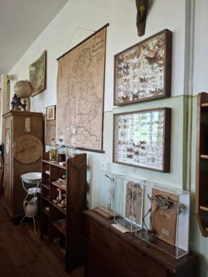 Foto des Albums: 1/2a und 1/2b im Schulmuseum