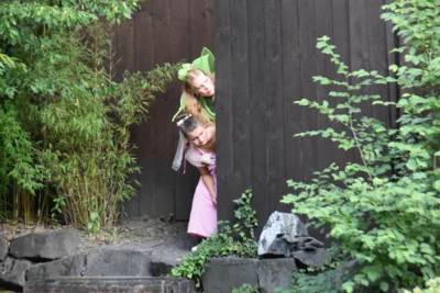 Foto des Albums: Rabatz im Zauberwald