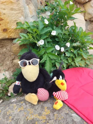 Foto des Albums: Schulwandertag 🏰