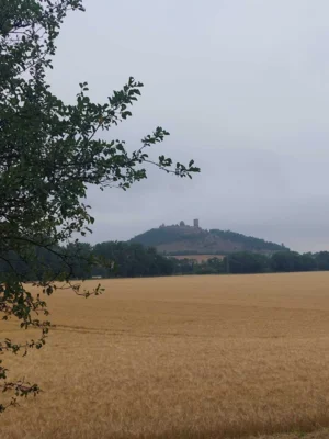 Foto des Albums: Schulwandertag 🏰