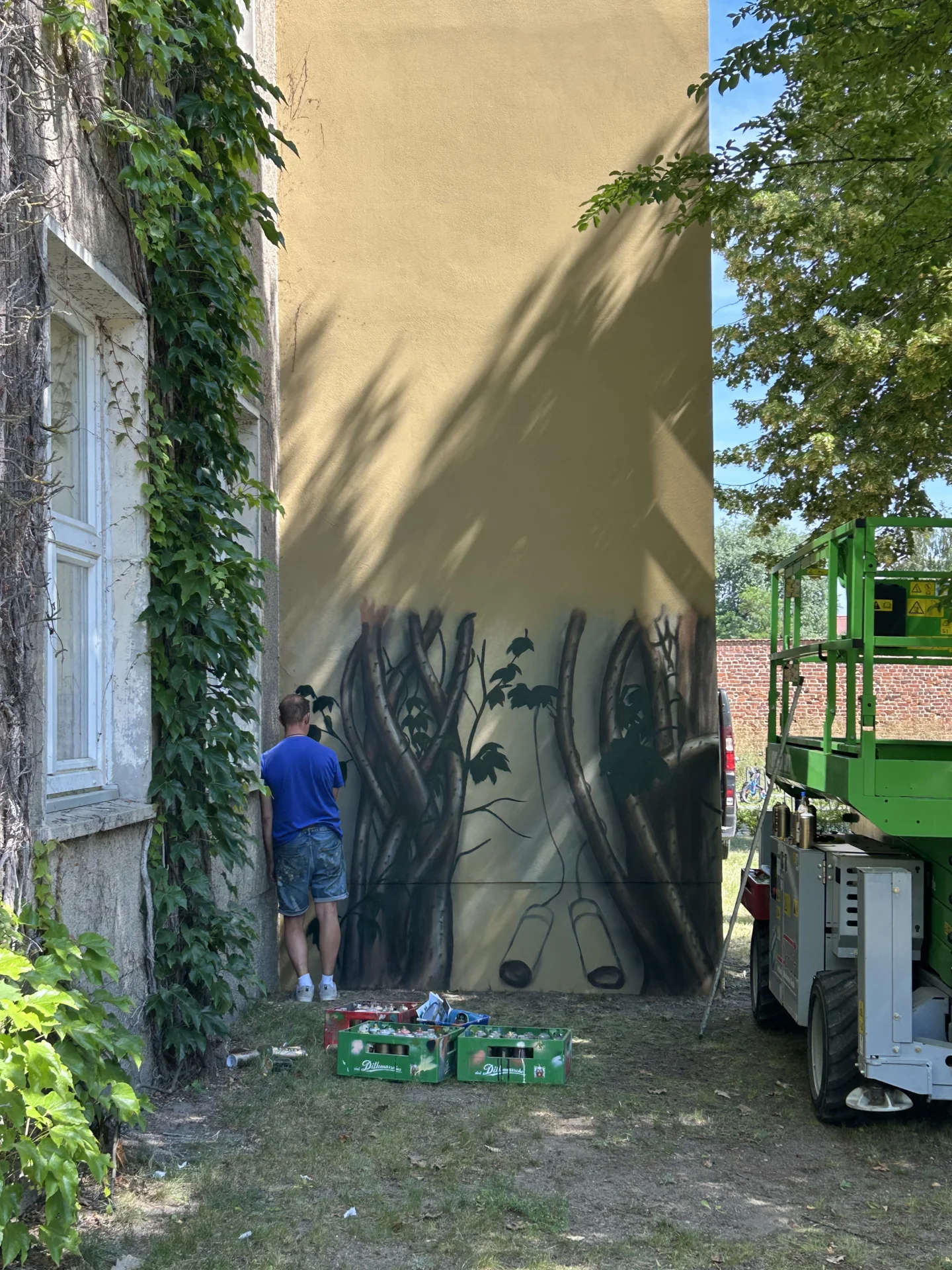 Bild der Galerie