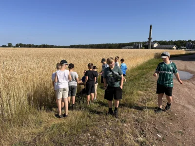 Foto des Albums: Getreidetour Klasse 4a und 4b