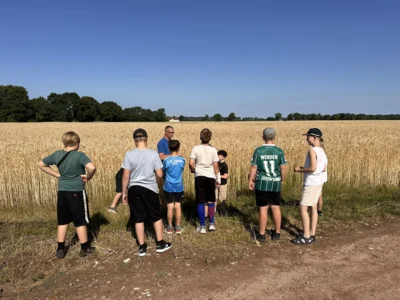 Foto des Albums: Getreidetour Klasse 4a und 4b
