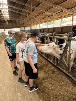 Foto des Albums: Getreidetour Klasse 4a und 4b