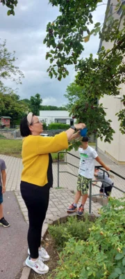 Foto des Albums: Naschen von der Felsenbirne 🌳 🍐