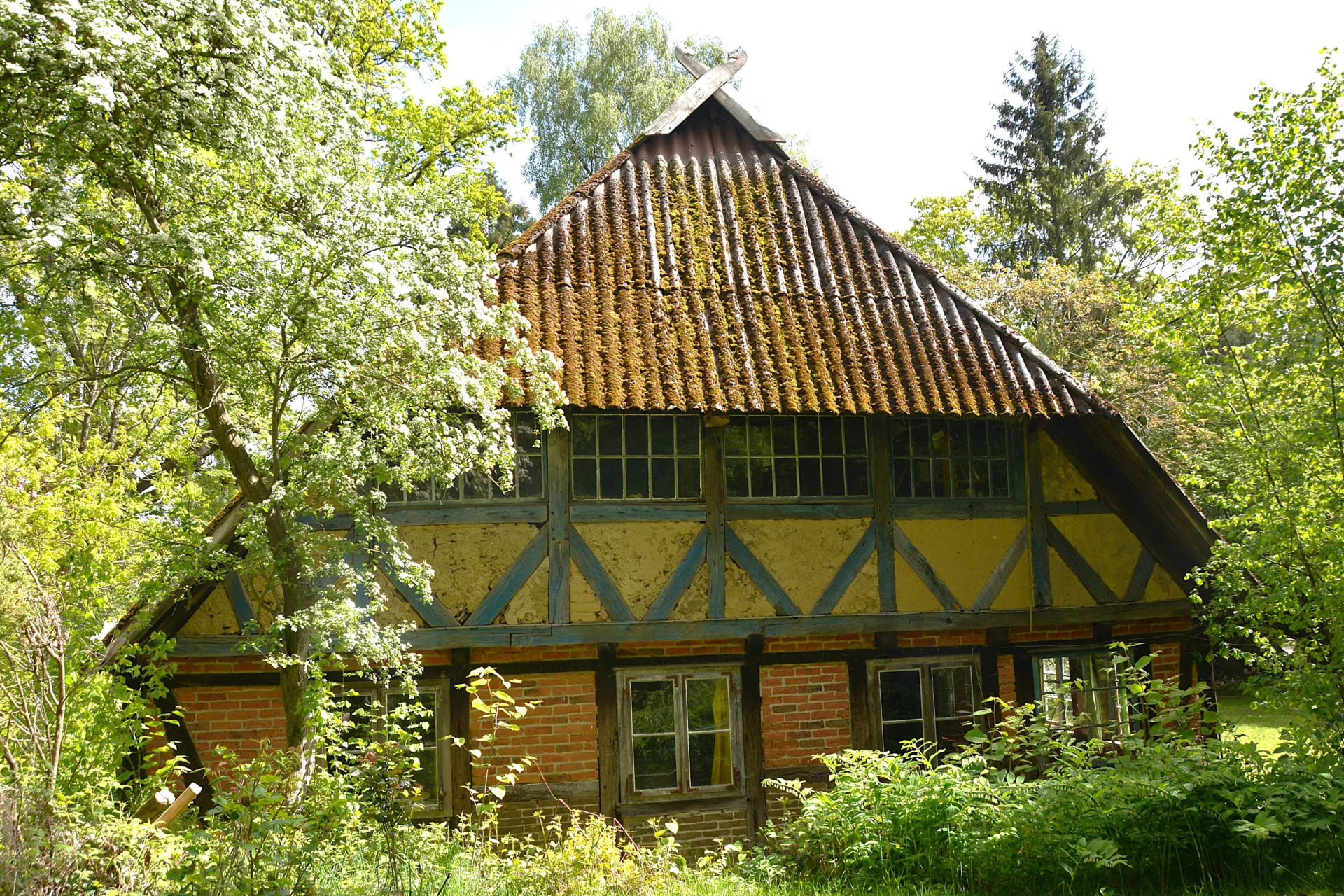 Bild der Galerie