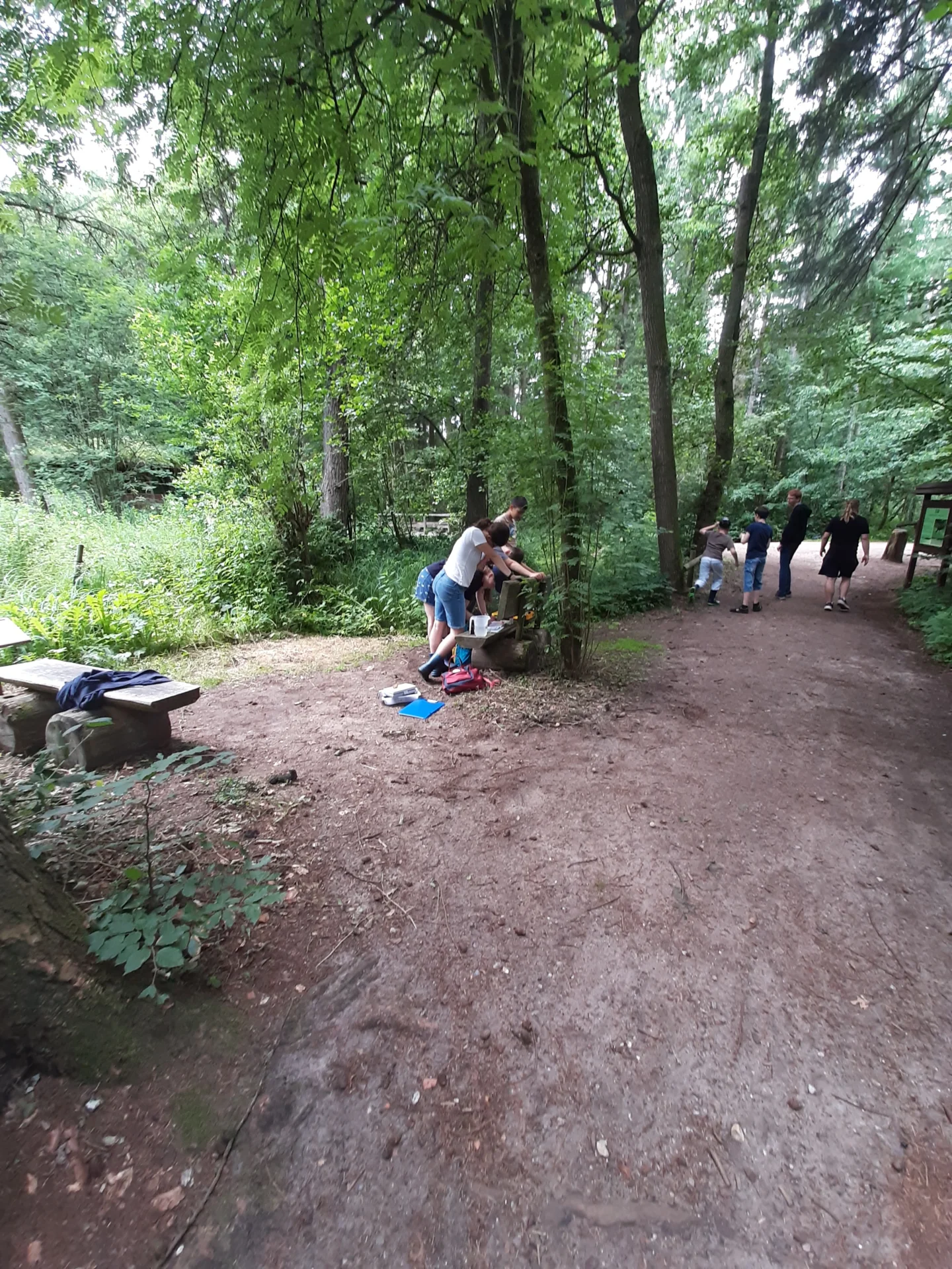 Bild der Galerie