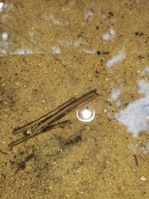 Foto des Albums: Wassercamp 2026