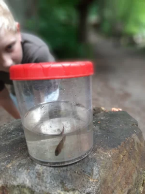 Foto des Albums: Wassercamp 2026