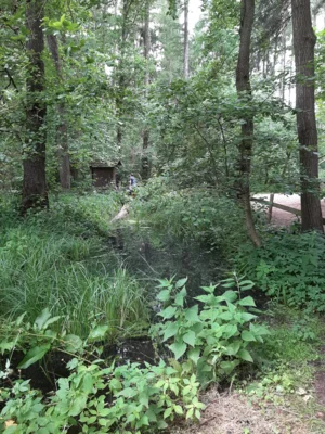 Foto des Albums: Wassercamp 2026