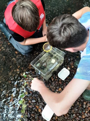 Foto des Albums: Wassercamp 2026