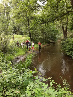 Foto des Albums: Wassercamp 2026