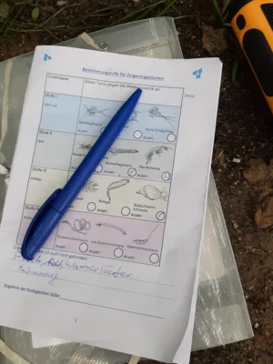 Foto des Albums: Wassercamp 2026