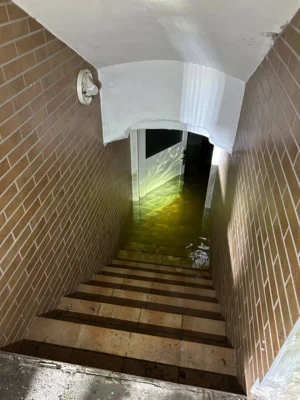 Foto des Albums: Einsatz 065/2026