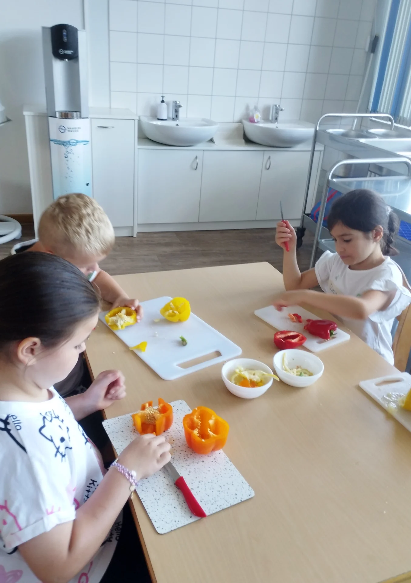 Bild: 20260623 Projekttag Fridtjof-Nansen Nebe (21)