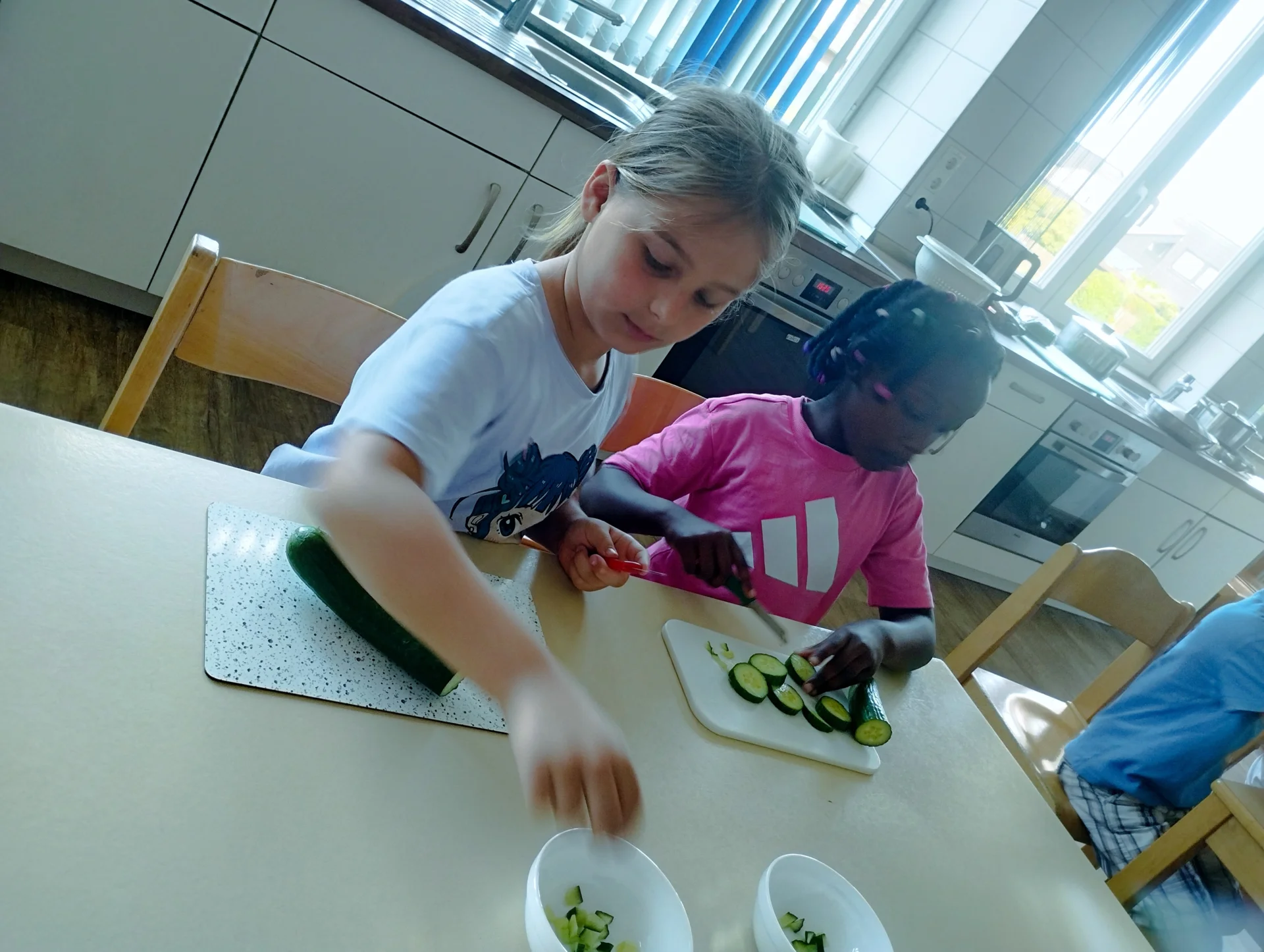 Bild: 20260623 Projekttag Fridtjof-Nansen Nebe (23)