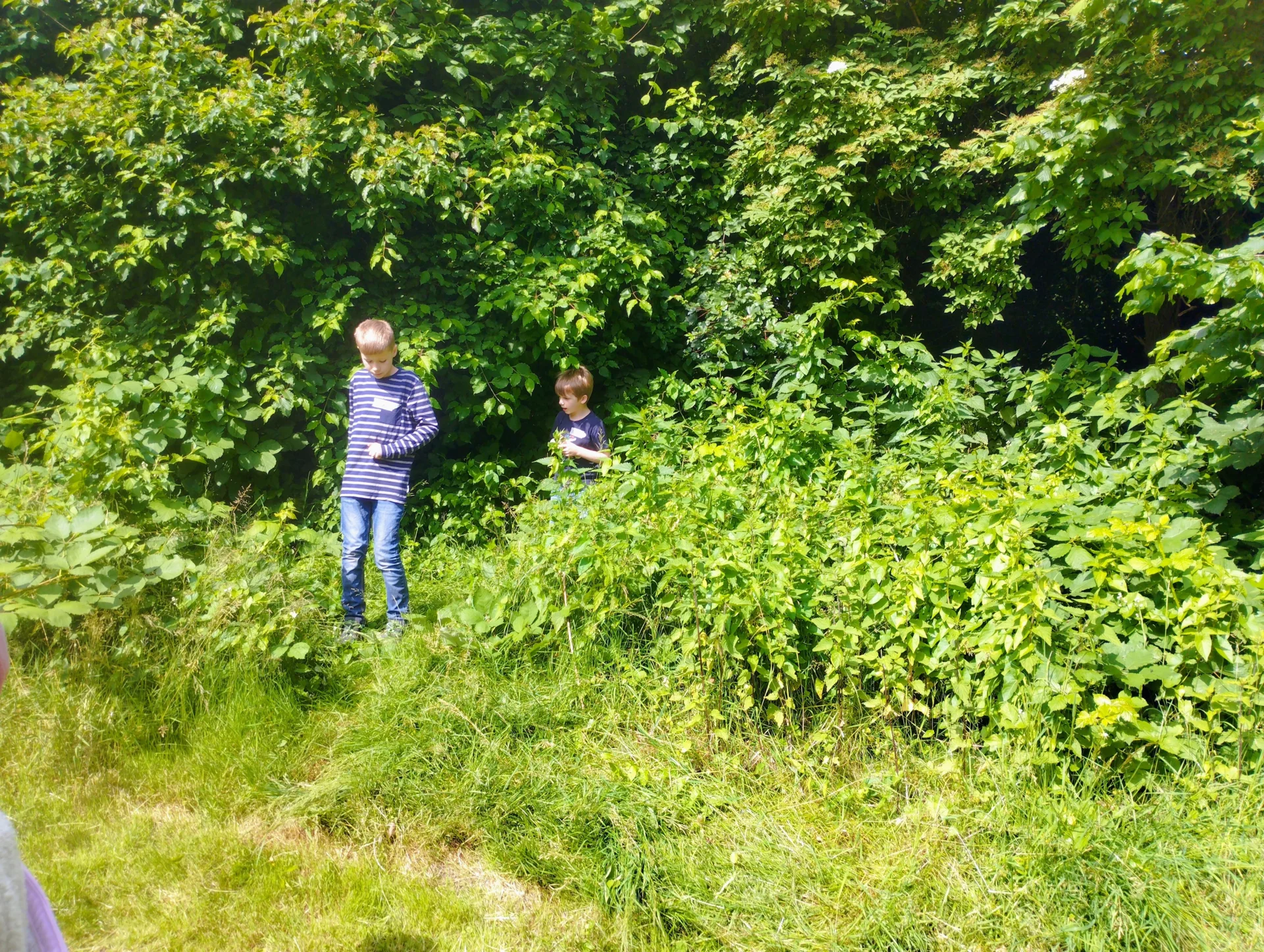 Bild: 20260616 Fritz-Reuter Thale (15)