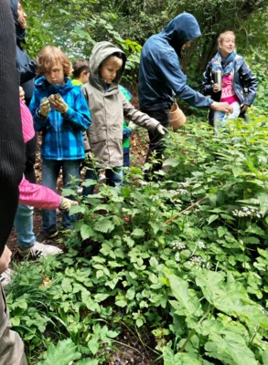 Vorschaubild: 2026 Langer Tag StadtNatur (3)