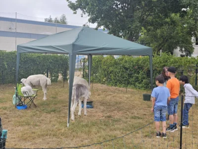 Foto des Albums: Unsere Schulfestwoche mit Kinderfest