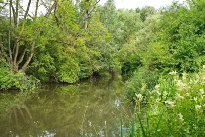 In den &Auml;ckern  (Bild vergr&ouml;&szlig;ern)