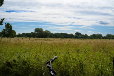 Naturschutzgebiet Alte Leine  (Bild vergr&ouml;&szlig;ern)
