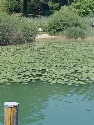 Foto des Albums: Tagesausflug an den Ammersee