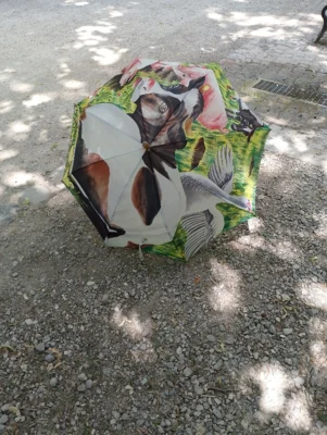 Foto des Albums: Tagesausflug an den Ammersee